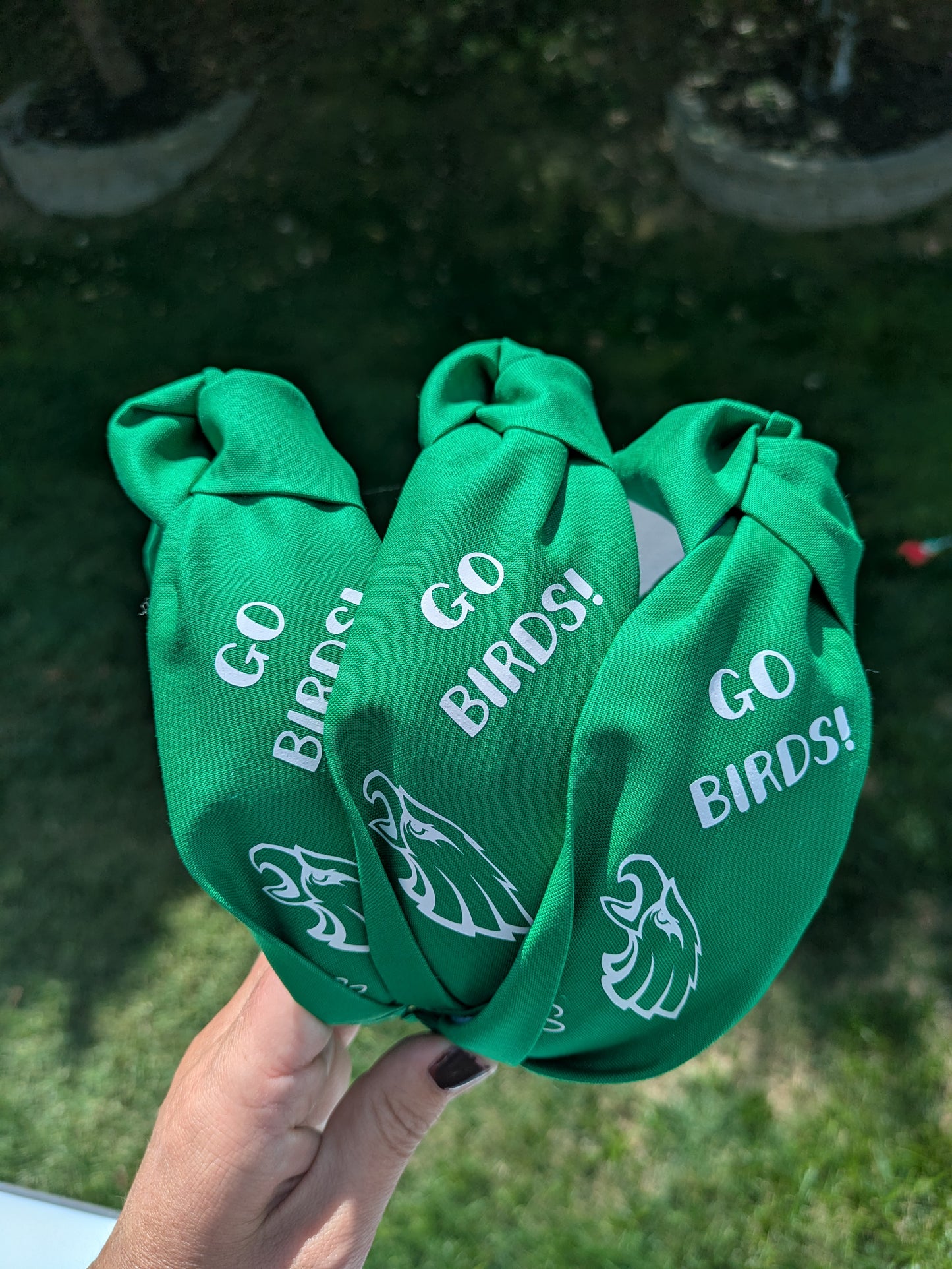 Go birds headbands