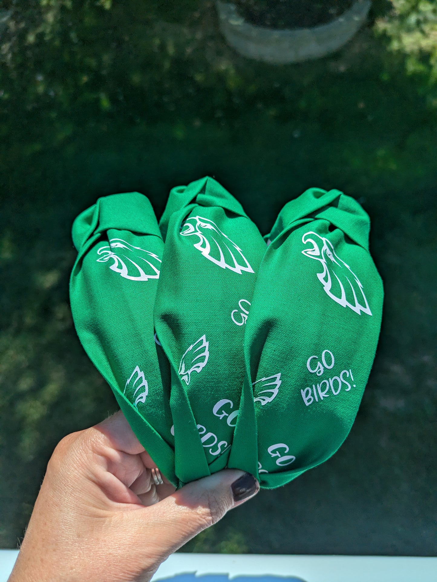 Go birds headbands